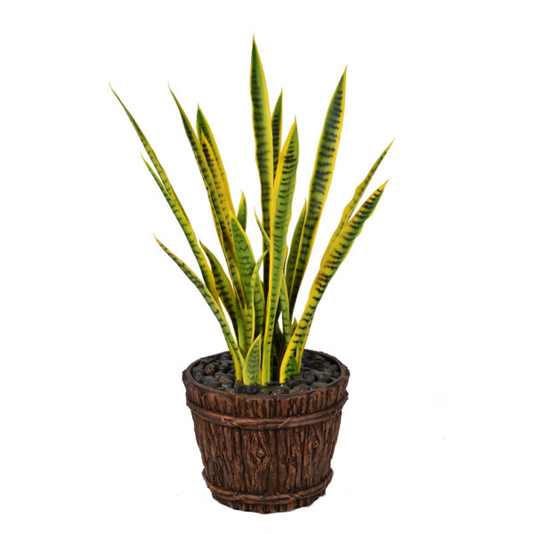 Laura Ashley Faux Snake Plant Plant in Planter & Reviews Perigold